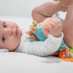 Playgro Activiteiten Rammelaar Clip Clop -Speelgoed 1011959 0905e56f