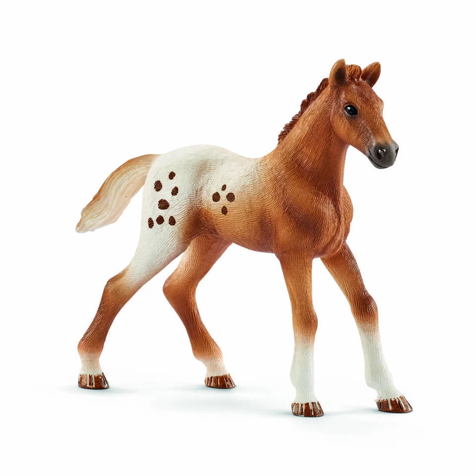 Schleich HORSE CLUB Toernooi Trainingsset 42433 6 Schleich HORSE CLUB Toernooi Trainingsset 42433 - Afbeelding 4