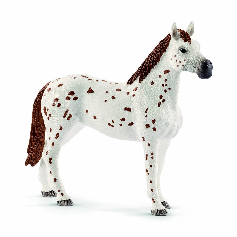 Schleich HORSE CLUB Toernooi Trainingsset 42433 5 Schleich HORSE CLUB Toernooi Trainingsset 42433 - Afbeelding 3