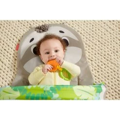 Fisher Price Fisher-Price Ready To Hang Sensorische Luiaard Activity Center -Speelgoed 1983697 da35e88b