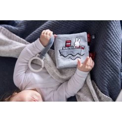 TiAmo Nijntje Fun At Sea Buggyboekje 13 TiAmo Nijntje Fun At Sea Buggyboekje -Speelgoed 1988265 9f3f2222