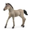 Schleich BAYALA Criollo Definitivo Veulen 13949 -Speelgoed 1990312 7c852458