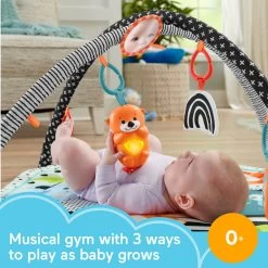 Fisher Price Fisher-Price 3-in-1 Gym Met Muziek En Lichtjes -Speelgoed 1990784 d439522d