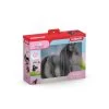 Schleich HORSE CLUB Criollo Definitivo Merrie 42581 -Speelgoed 1992957 e245db6b