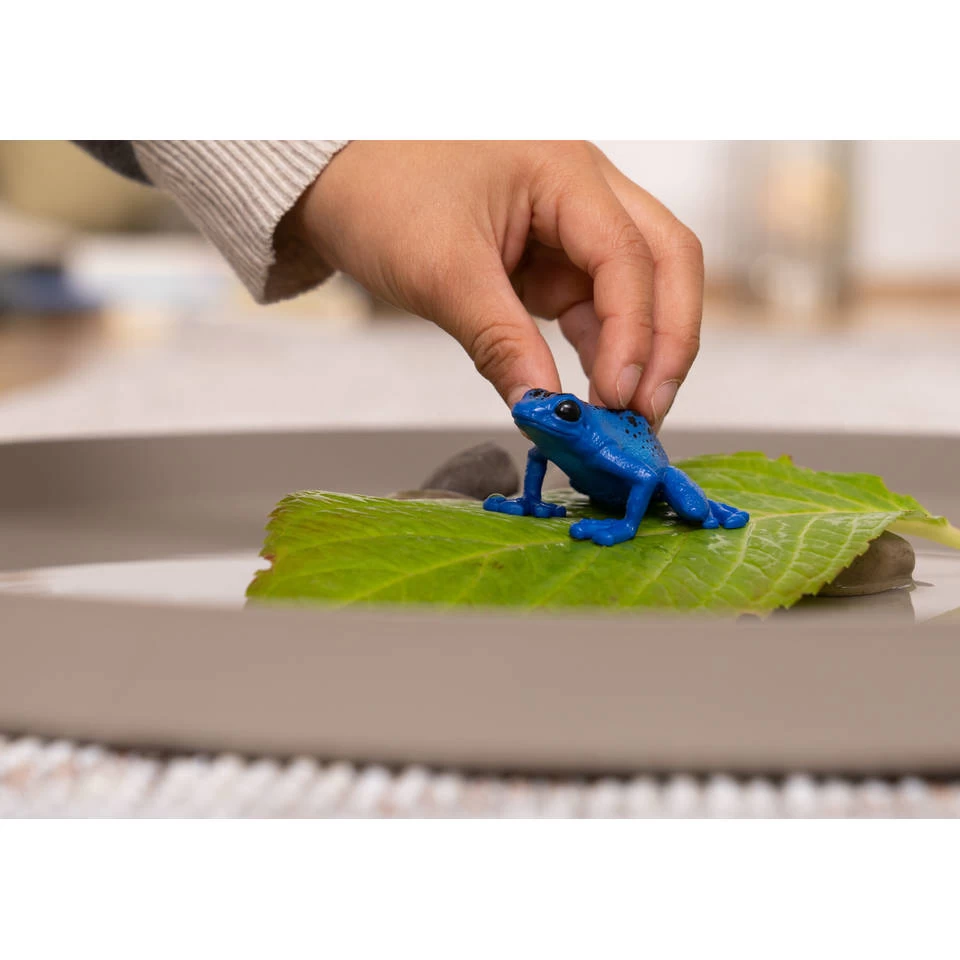 Schleich WILD LIFE Blauwe Pijlgifkikker 14864 5 Schleich WILD LIFE Blauwe Pijlgifkikker 14864 - Afbeelding 3