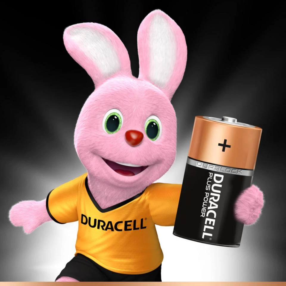 Duracell Plus Power D Alkaline Batterijen - 2 Stuks 4 Duracell Plus Power D Alkaline Batterijen - 2 Stuks - Afbeelding 2